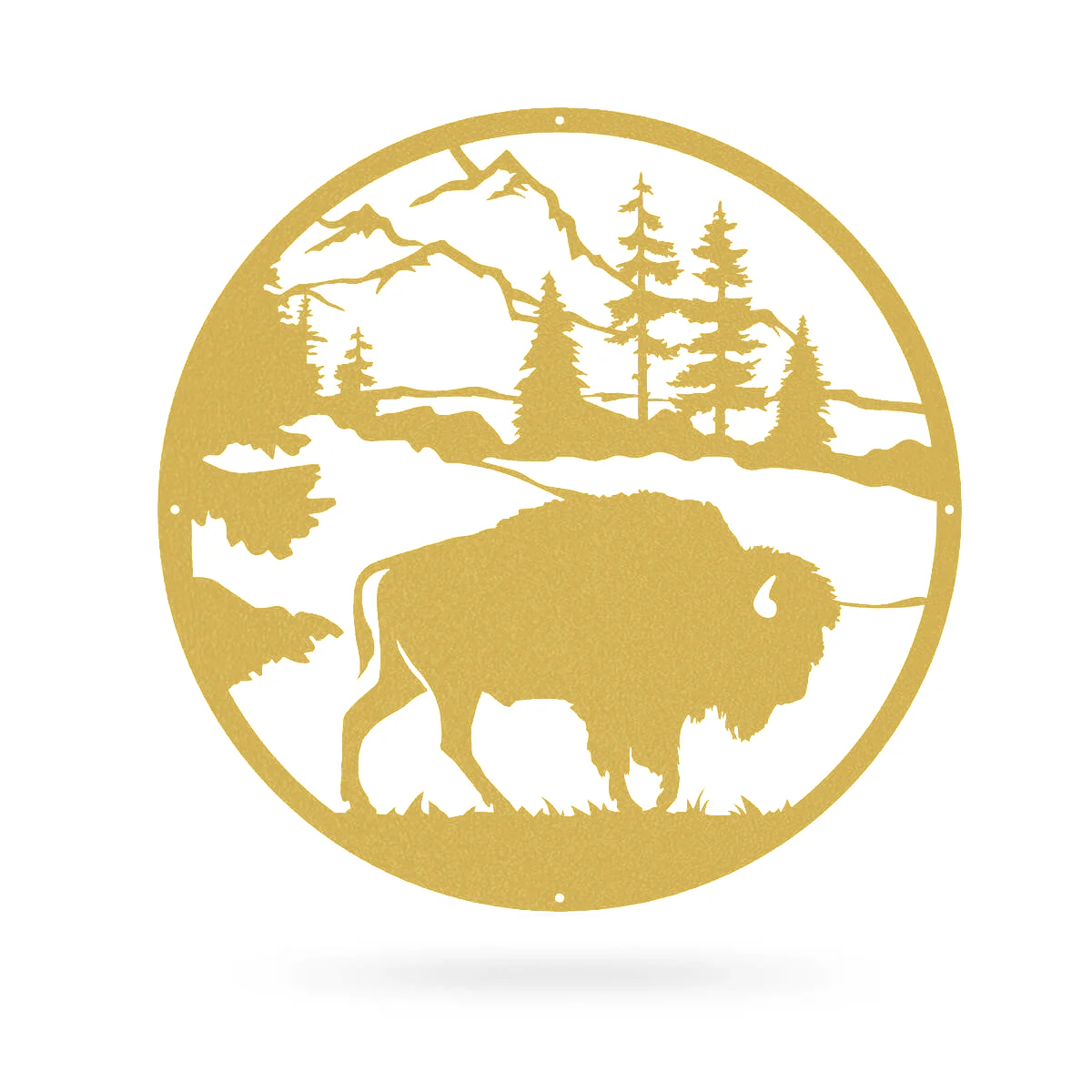 American Bison - Image 5